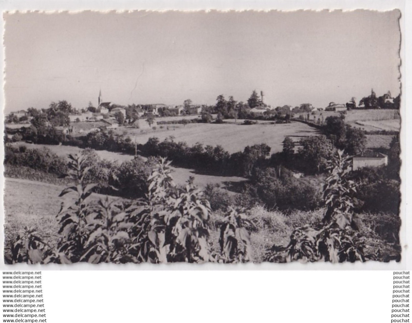 J13-47) LAROQUE TIMBAUT (LOT ET GARONNE) VUE GENERALE - ( 2 SCANS )