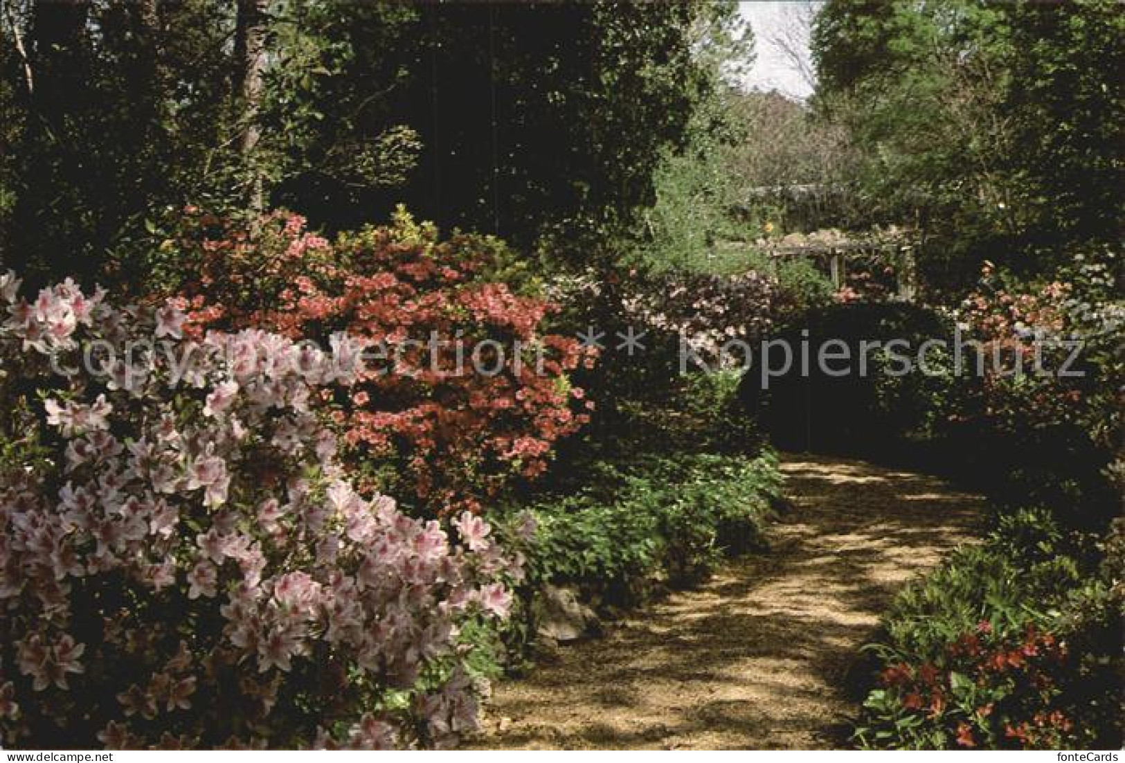 Jackson Mississippi Mynelle Gardens