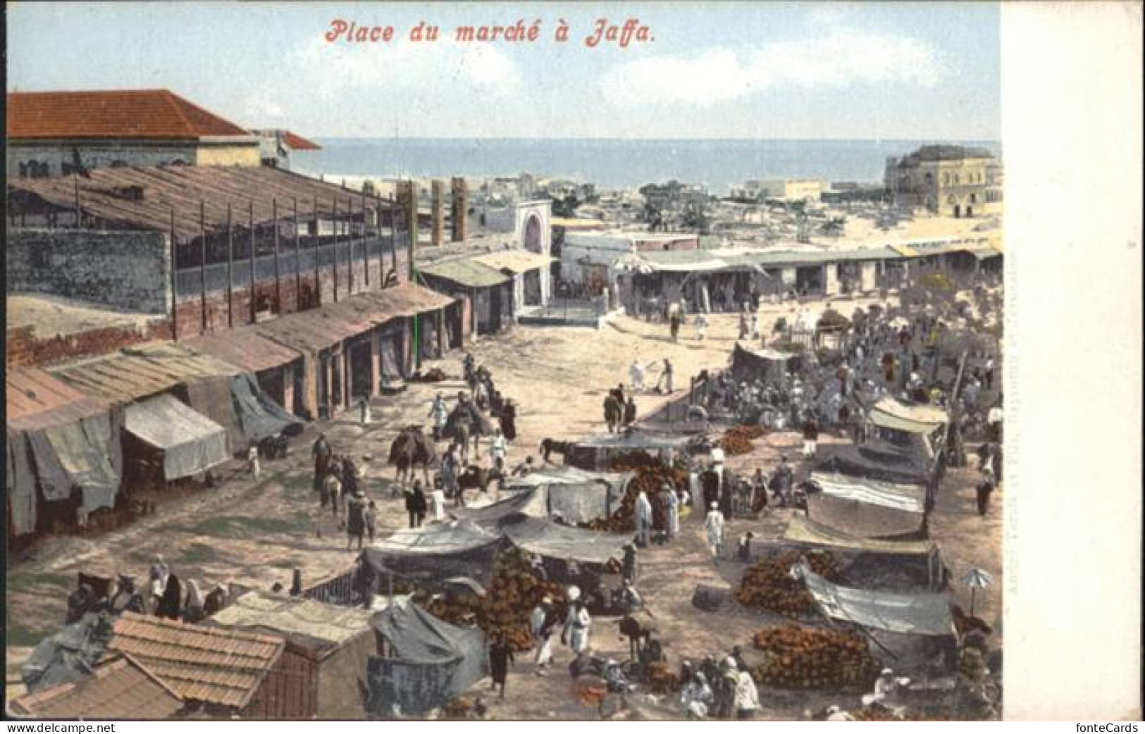 Jaffa Marche