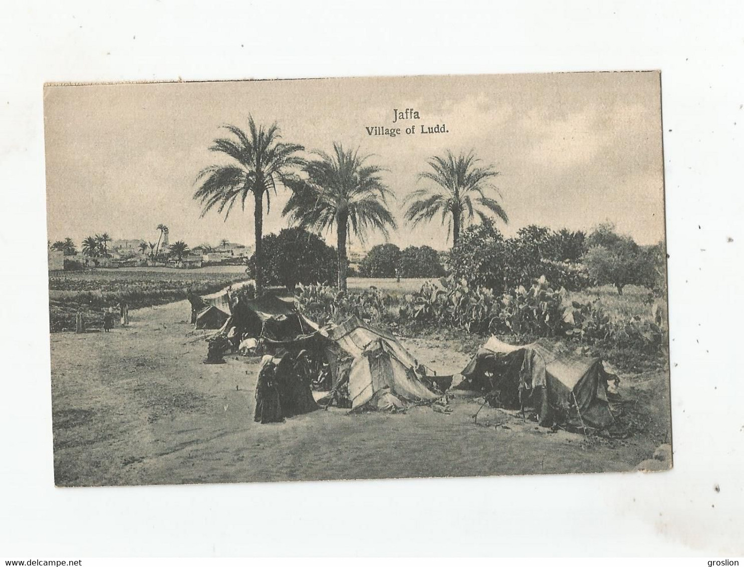 JAFFA VILLAGE OF LUDD 803