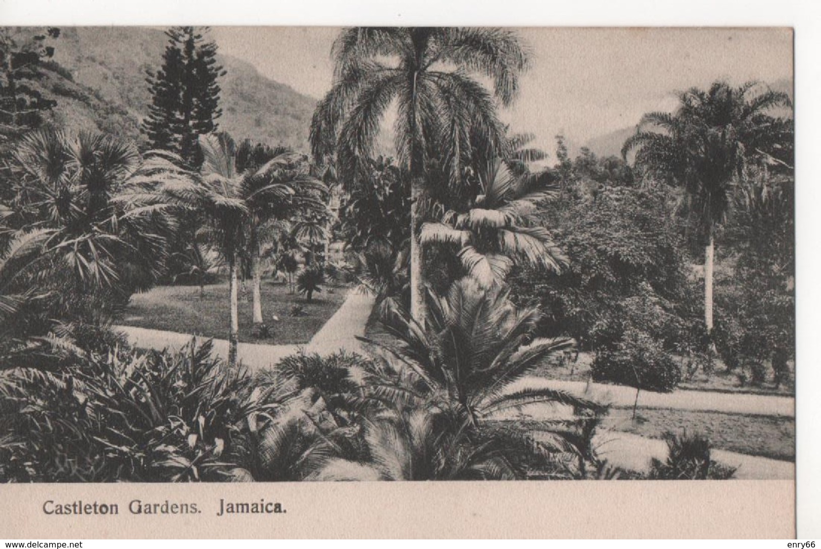 JAMAICA-CASTLETON GARDENS