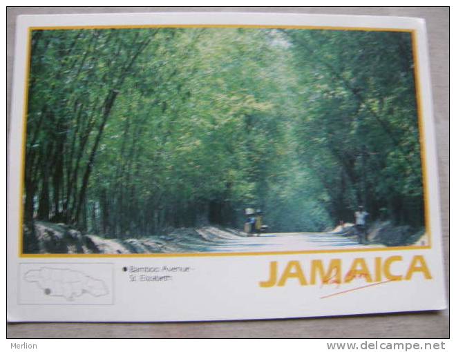 Jamaica     D86805
