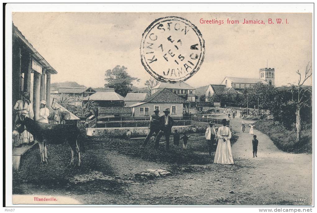 JAMAICA - Mandeville