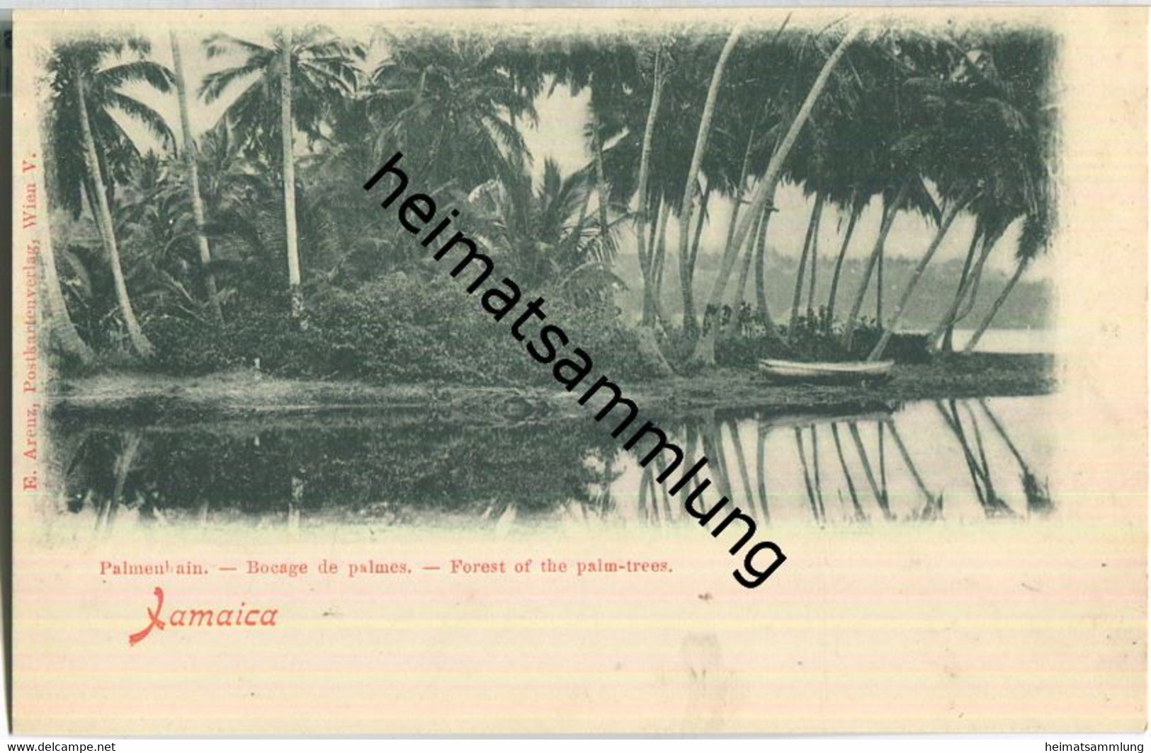 Jamaica - Palmenhain - Verlag E. Arenz Wien ca. 1900