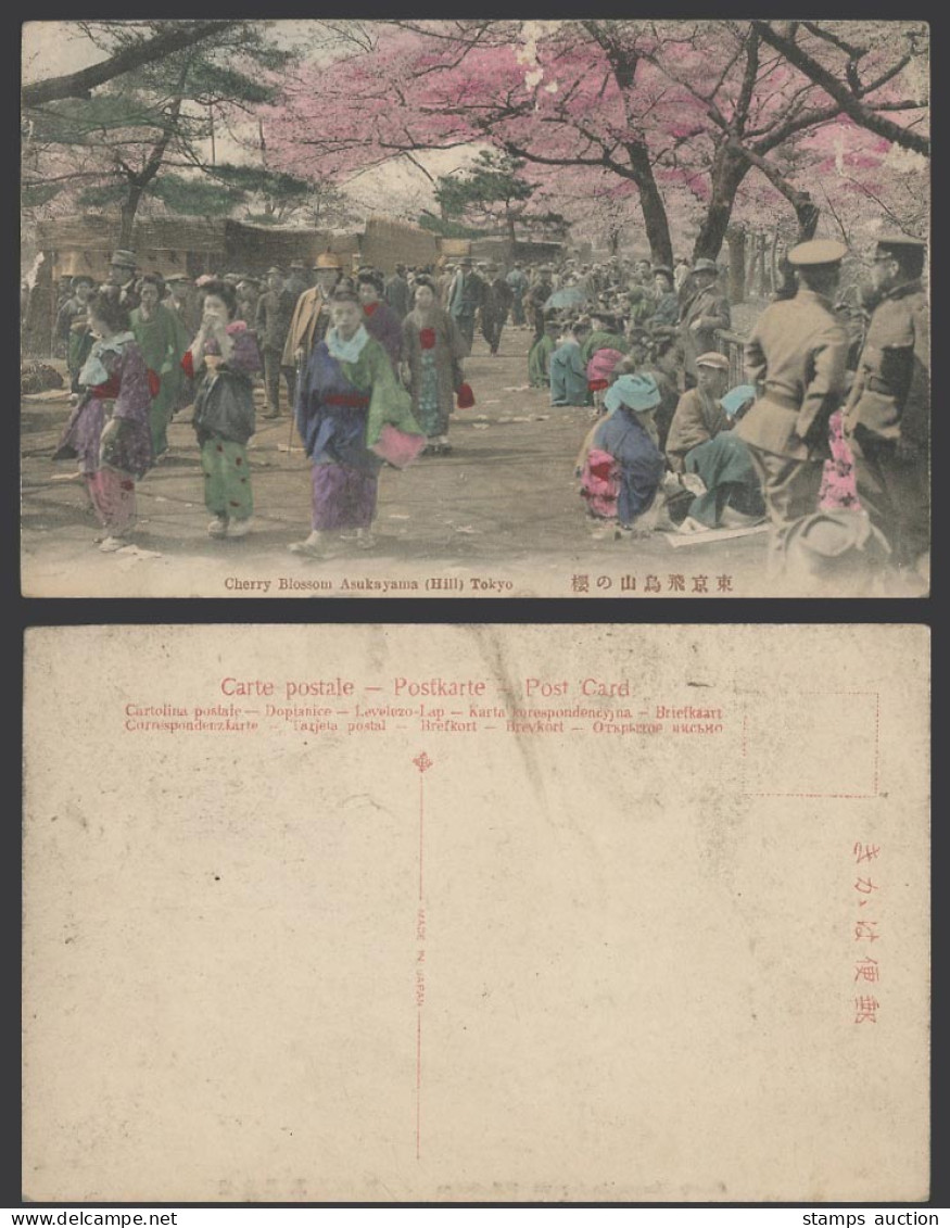 Japan Old Hand Tinted Postcard Cherry Blossoms on Asukayama Hill, Tokyo 東京飛鳥山櫻
