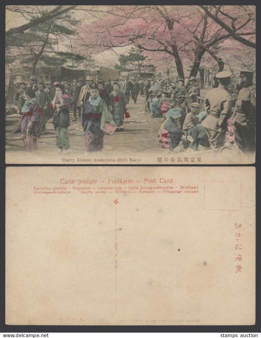 Japan Old Hand Tinted Postcard Geisha Cherry Blossom Asukayama Hill Tokyo 東京飛鳥山櫻