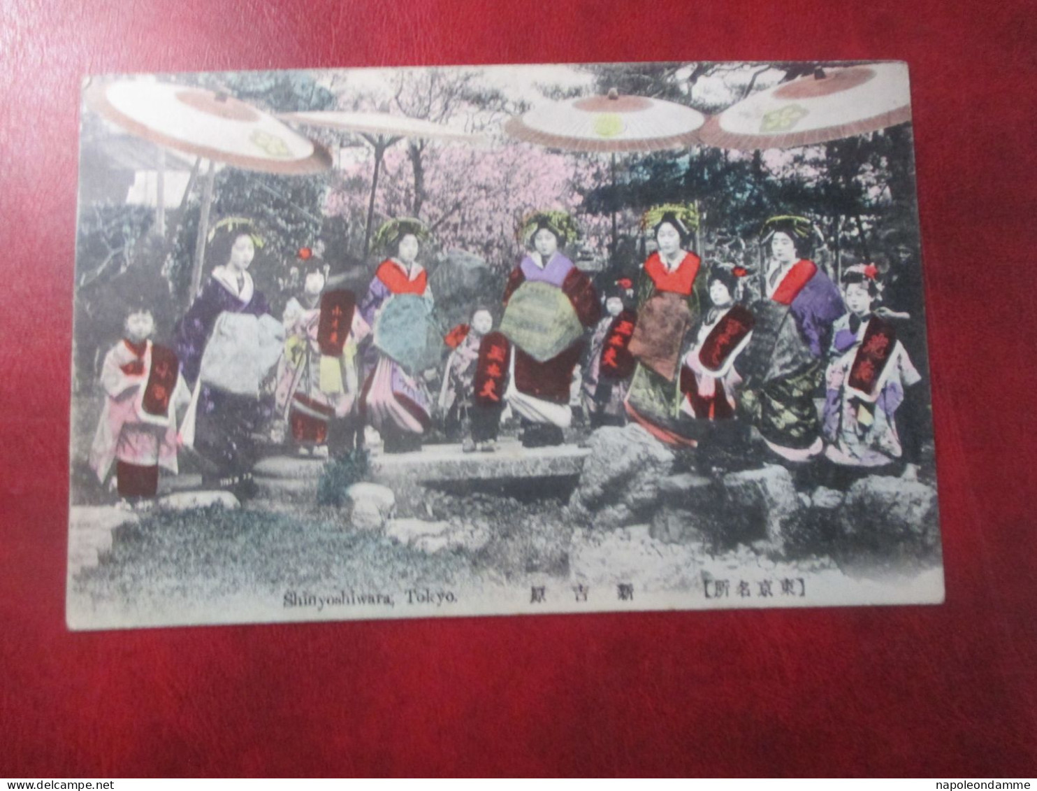 Japan, Shinyoshiwara , Tokyo