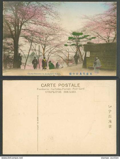 Japan Old Hand Tinted Postcard Cherry Blossoms in Asuka Hill Tokyo 東京飛鳥山之櫻春陽堂觀櫻會