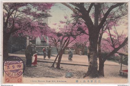 Cherry Blossom Noge Hill, Yokohama Park. *