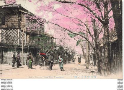 JAPON - S14668 - Cherry Blossom Noge Hill Yokohama - Pousse Pousse