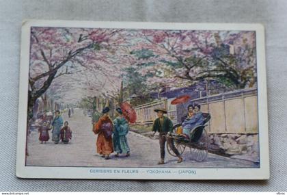 Yokohama, cerisiers en fleurs, Japon