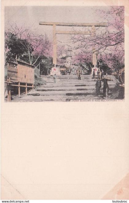 YOKOHAMA CHERRY  BLOSSOMS AT NOGE HILL