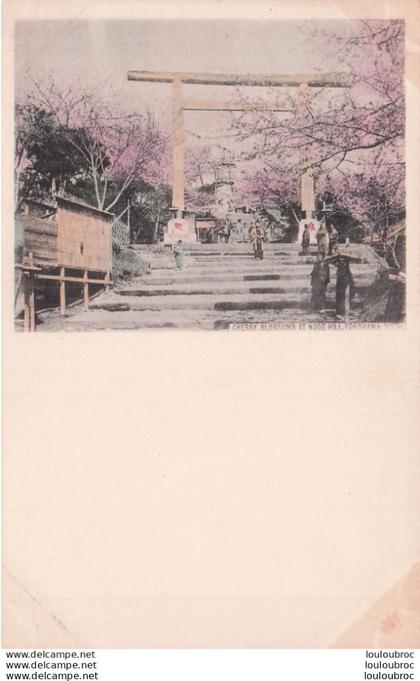 YOKOHAMA CHERRY  BLOSSOMS AT NOGE HILL