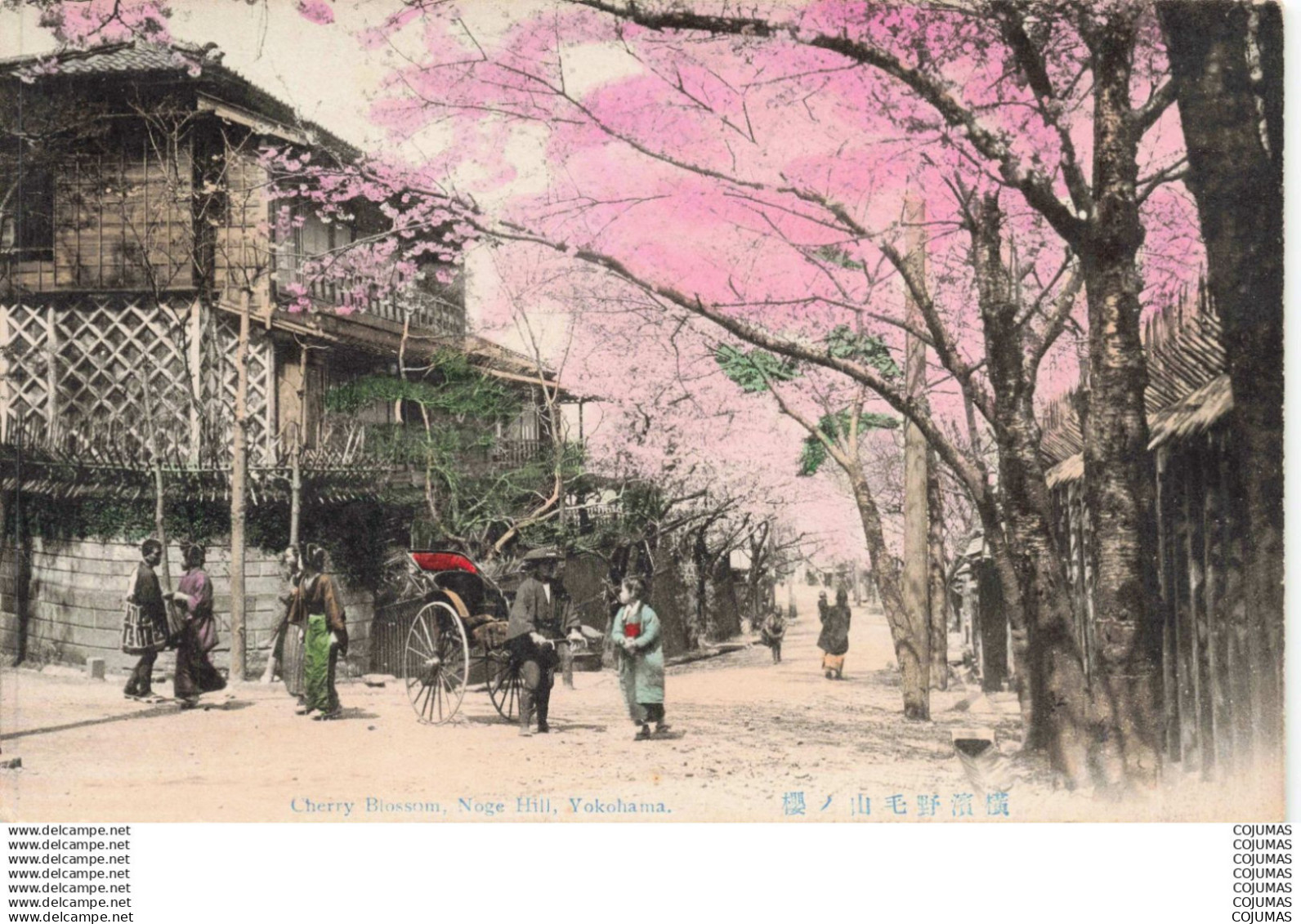 JAPON - S14668 - Cherry Blossom Noge Hill Yokohama - Pousse Pousse