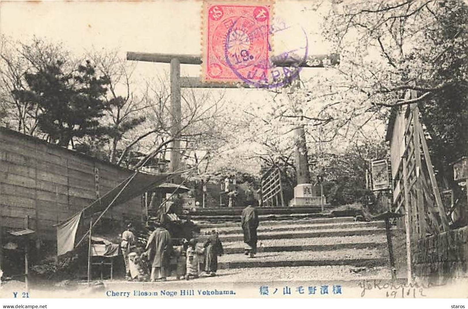 Japon - YOKOHAMA - Cherry Blosom Noge Hill