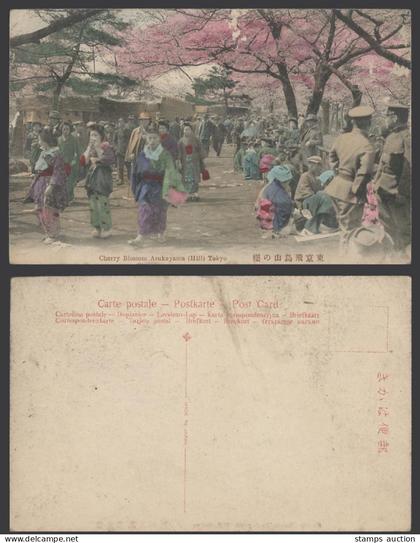 Japan Old Hand Tinted Postcard Cherry Blossoms on Asukayama Hill, Tokyo 東京飛鳥山櫻