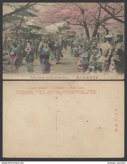 Japan Old Hand Tinted Postcard Geisha Cherry Blossom Asukayama Hill Tokyo 東京飛鳥山櫻