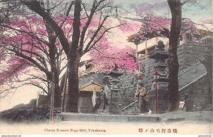 Japan - YOKOHAMA - Cherry Blossom  - Noge Hill