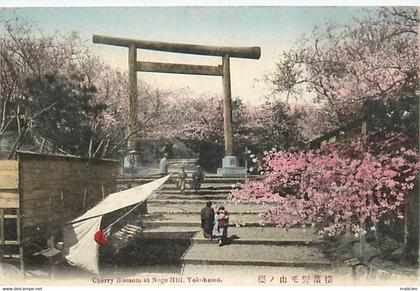 -pays div.-ref-BB966- japon - japan - yokohama - noge hill - cherry blossom -