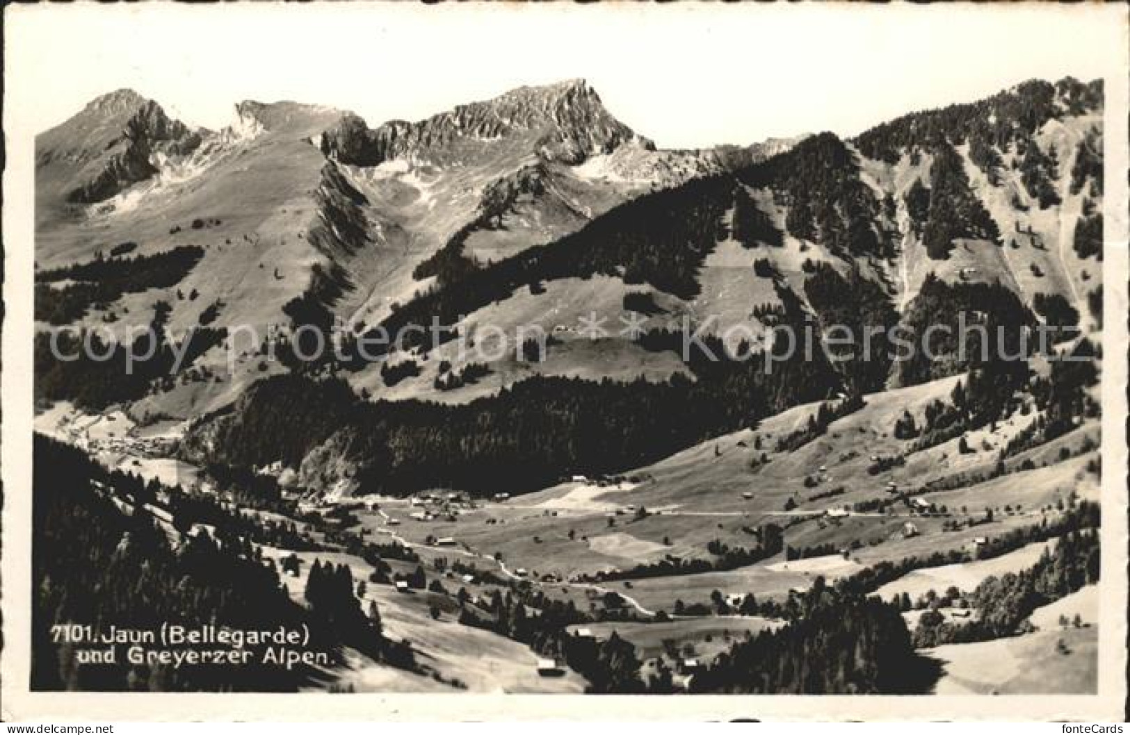 Jaun Boltigen Greyerzer Alpen