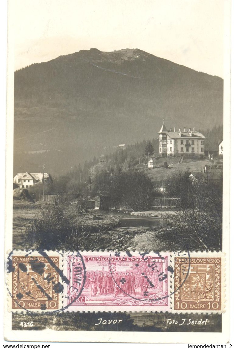 Javor