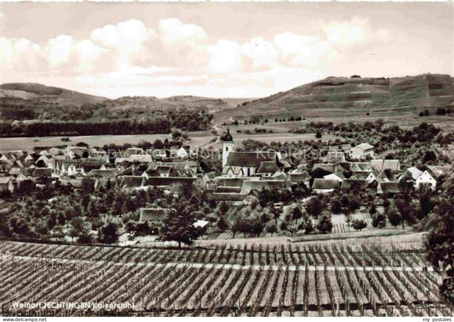 Jechtingen Sasbach am Kaiserstuhl BW Fliegeraufnahme