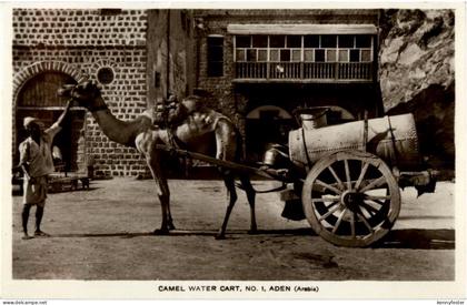 Aden - Camel water cart - Jemen