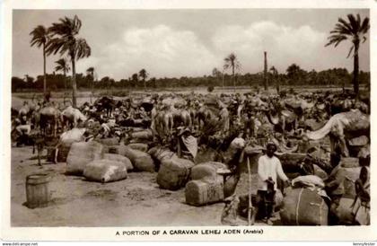 Aden - Caravan Lehej - Jemen