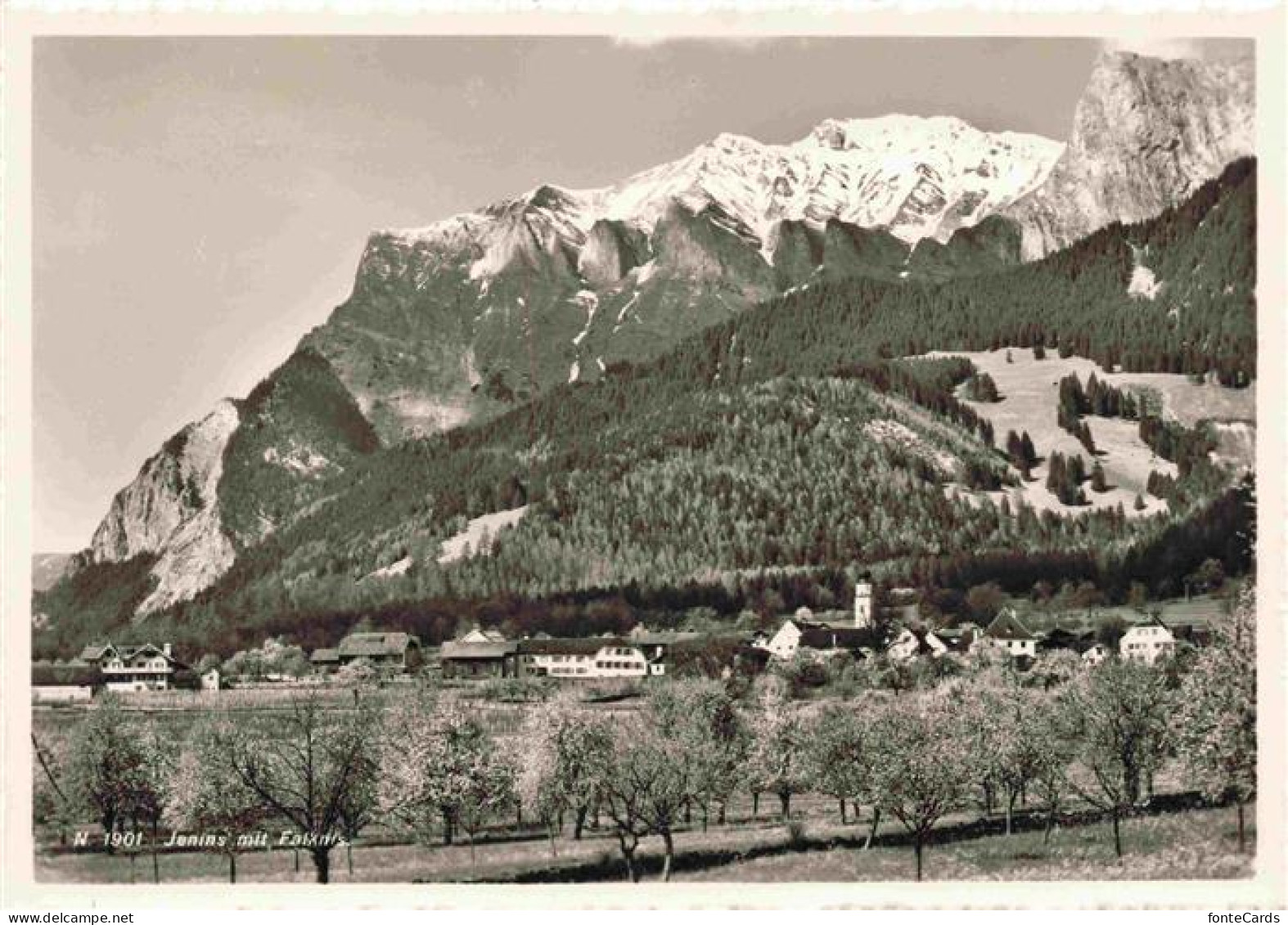 Jenins GR mit Falknis