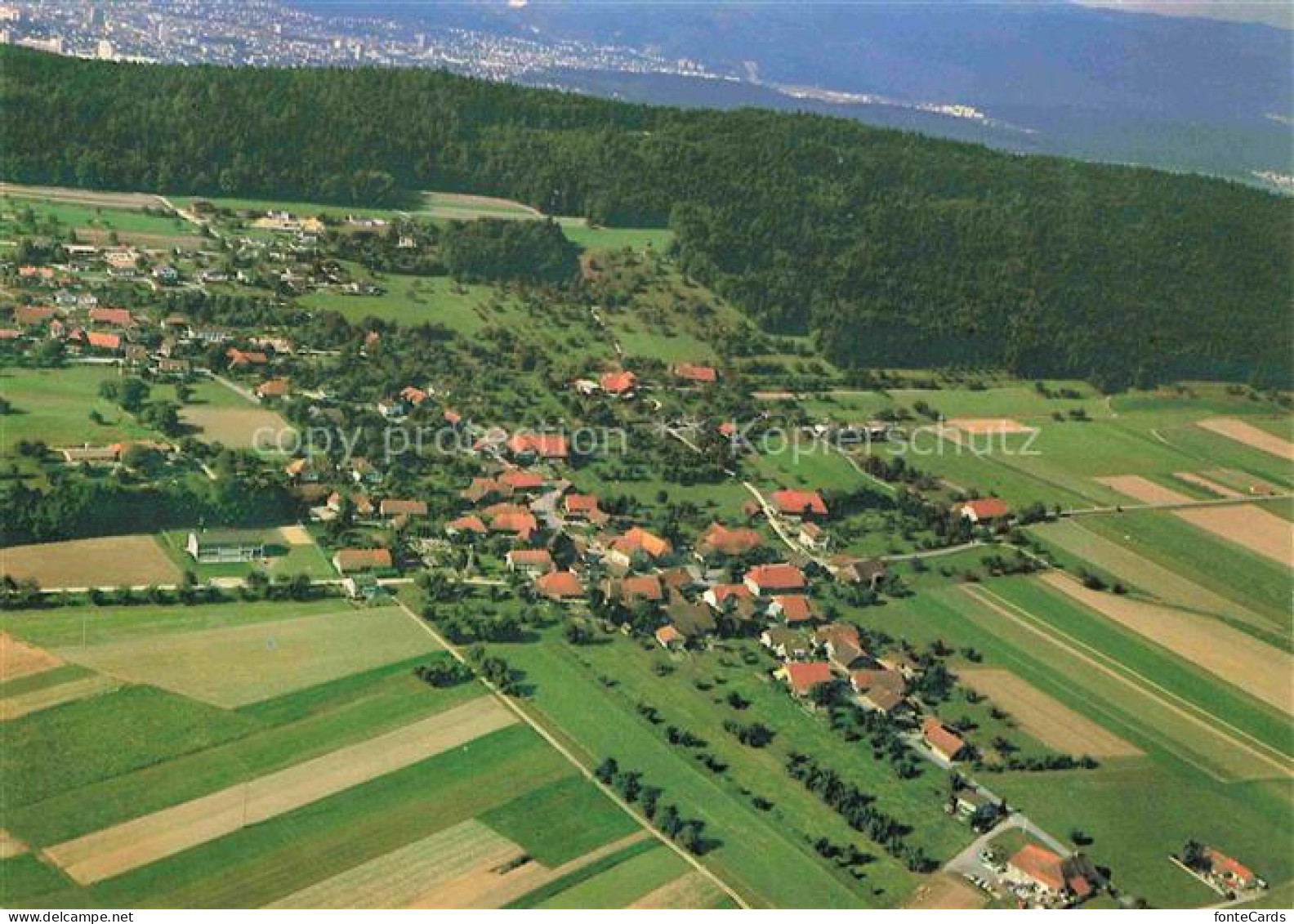 Jens Nidau BE Fliegeraufnahme