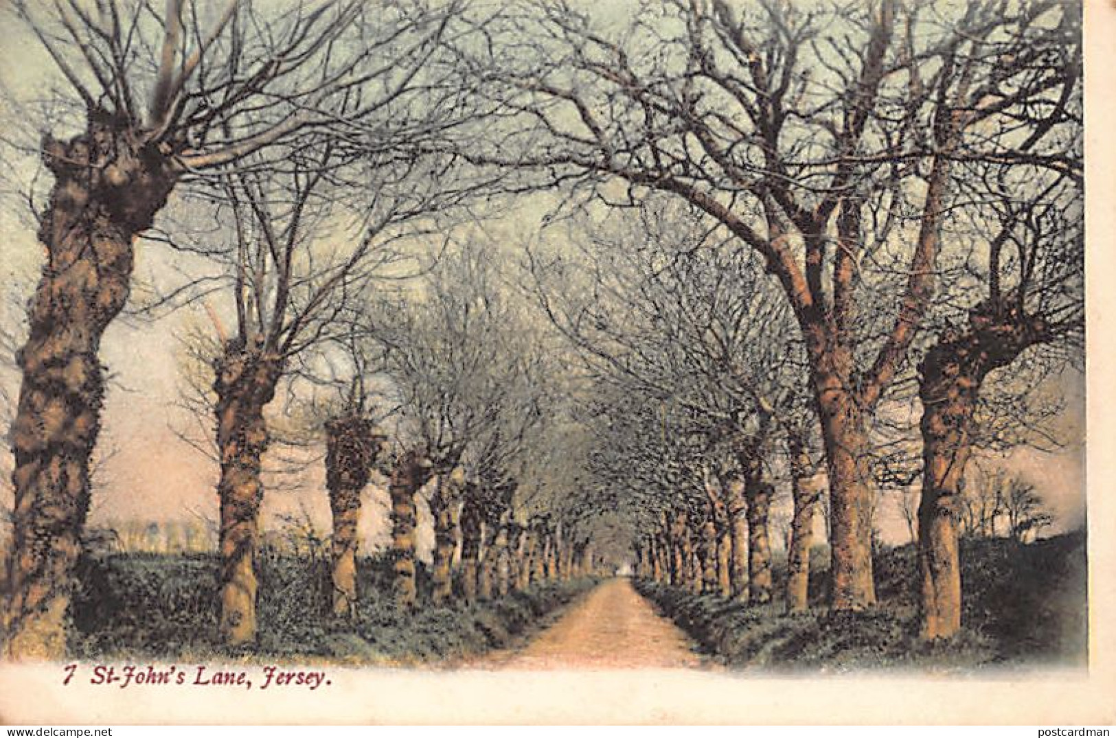 Jersey - St. John's lane - Publ. Albert Smith 7