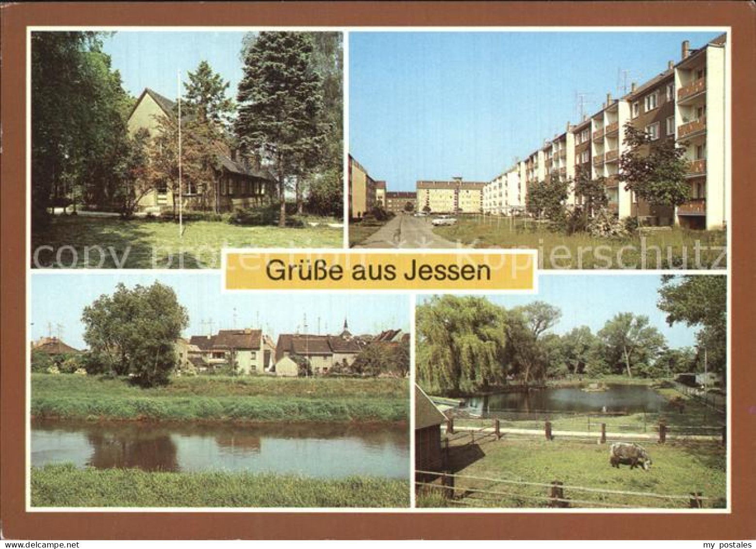 Jessen Elster