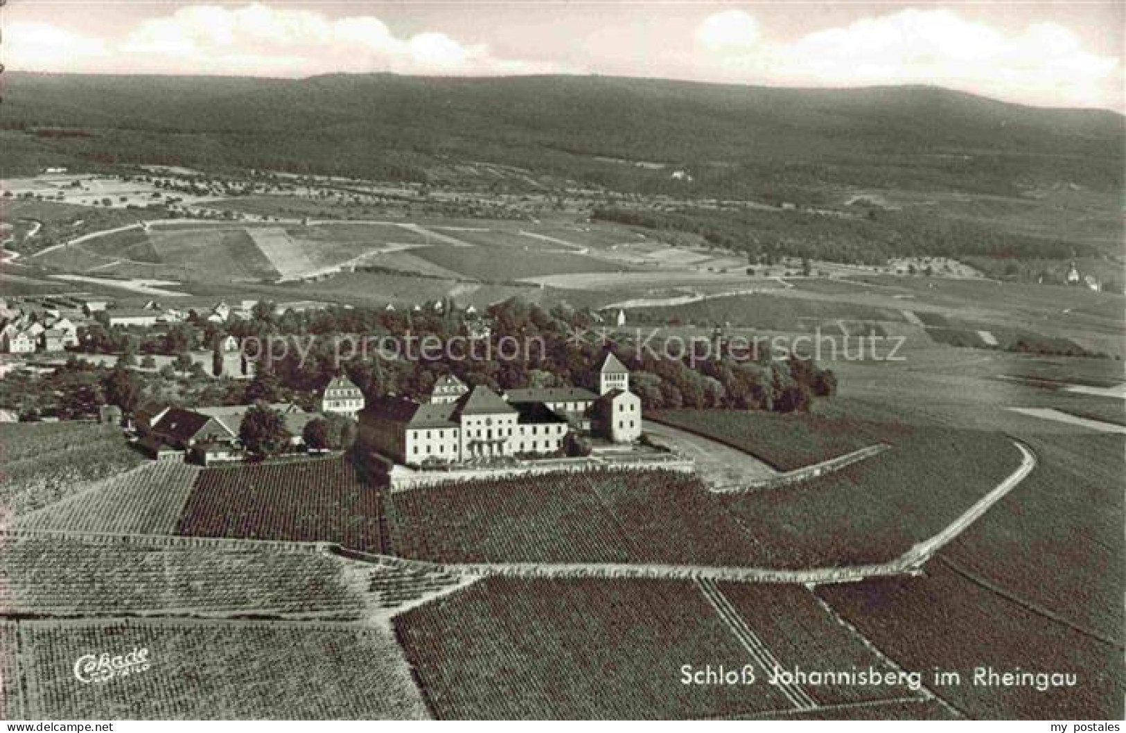 Johannisberg Rheingau Geisenheim Hessen Schloss-Johannisberg Weinberg Rheingau F