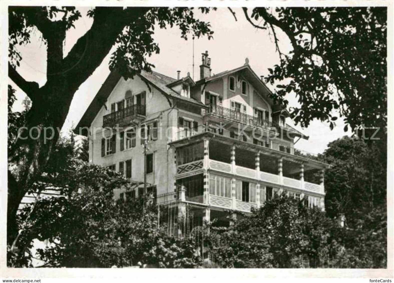 Jongny Ecole Nouvelle