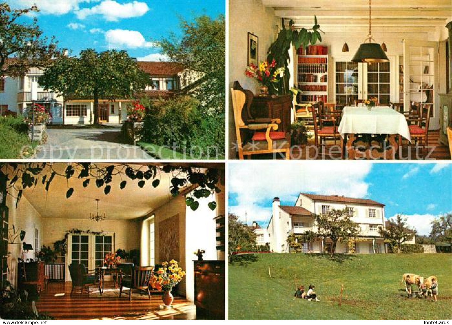 Jongny Hotel du Leman