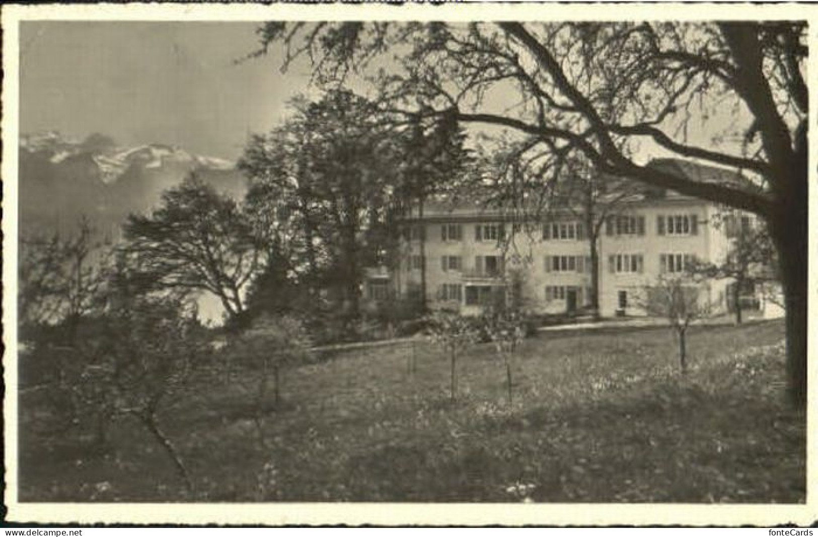 Jongny  x 1937