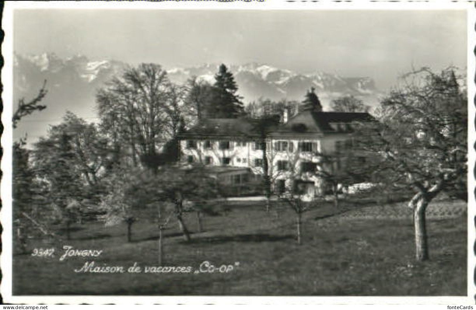 Jongny  x 1949