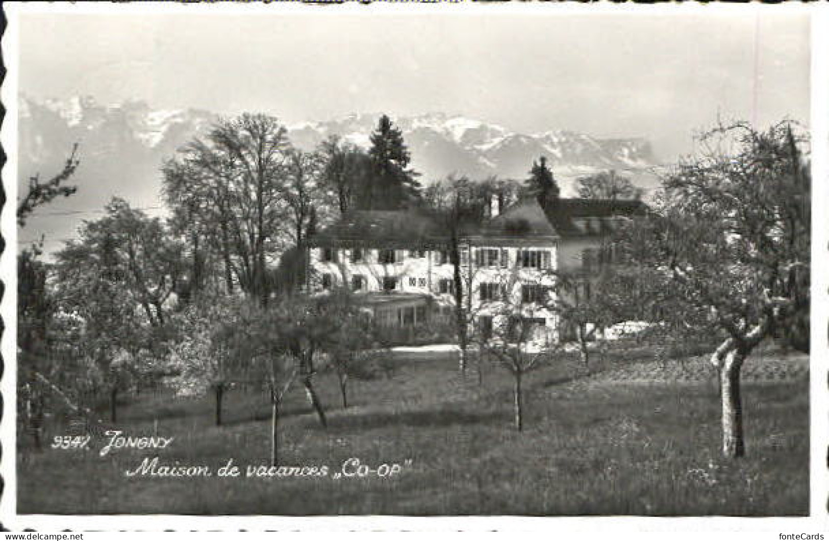 Jongny  x 1949