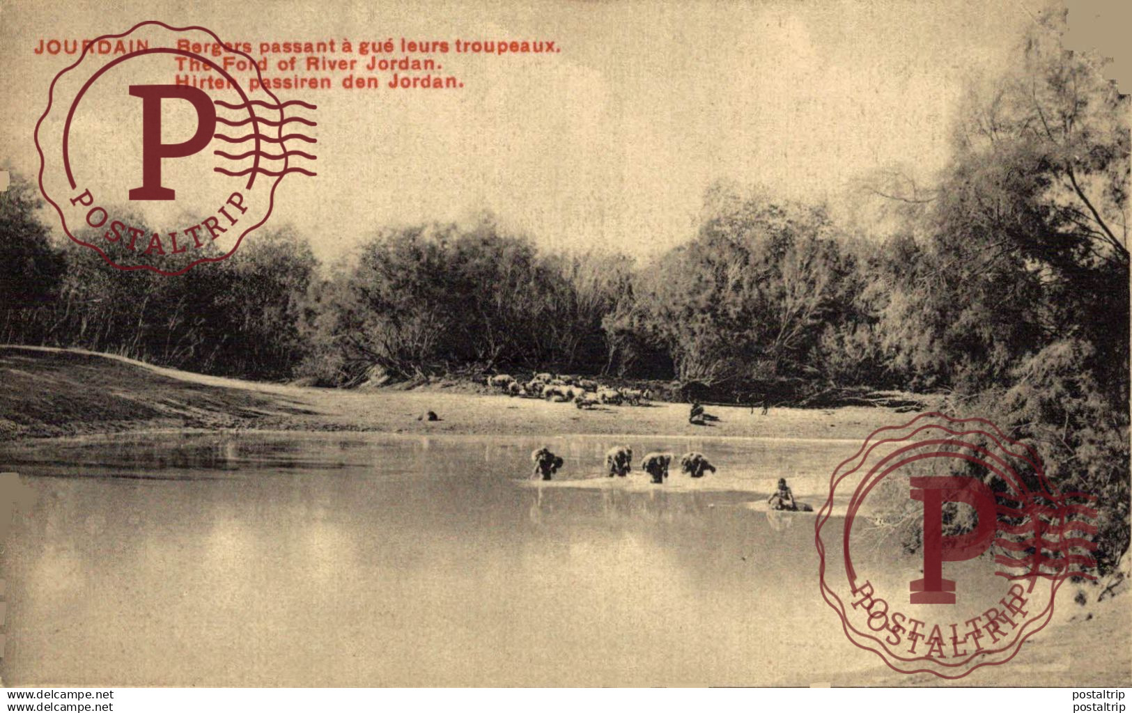 JORDANIA. JOURDAIN BERGERS PASSANT A GUE LEURS TROUPEAUX