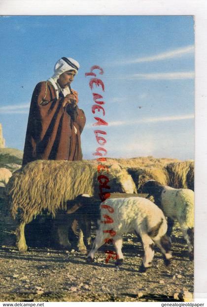 JORDANIE - JORDAN- A SHEPHERD
