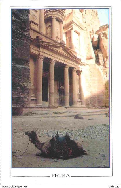 Jordanie - Pétra - Chameau - CPM - Carte Neuve - Voir Scans Recto-Verso