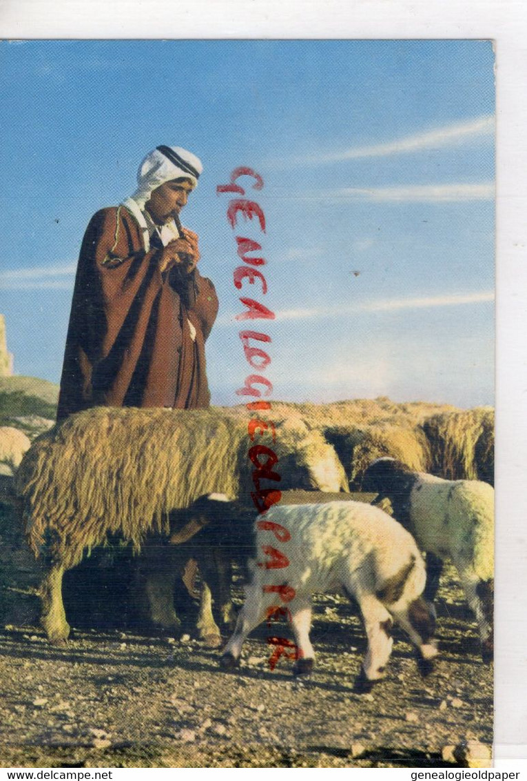 JORDANIE - JORDAN- A SHEPHERD