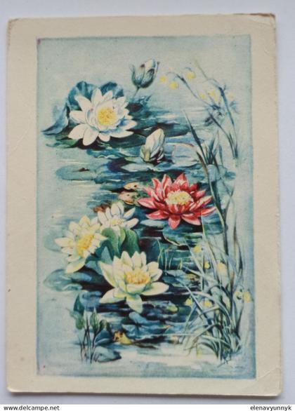 Vintage postcard "Water Lilies." Yugoslavia, 1960s.
