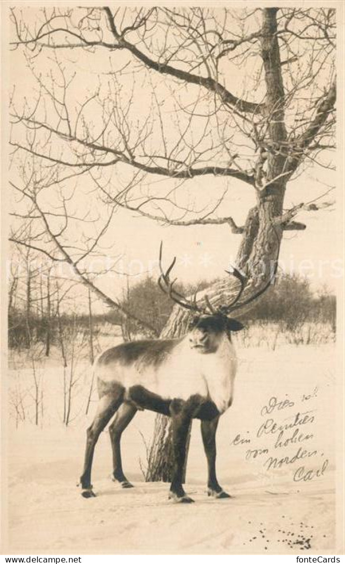 Juneau Alaska Rentier