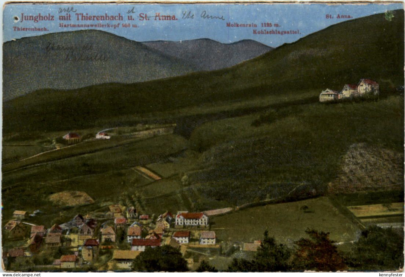 Jungholz mit Thierenbach