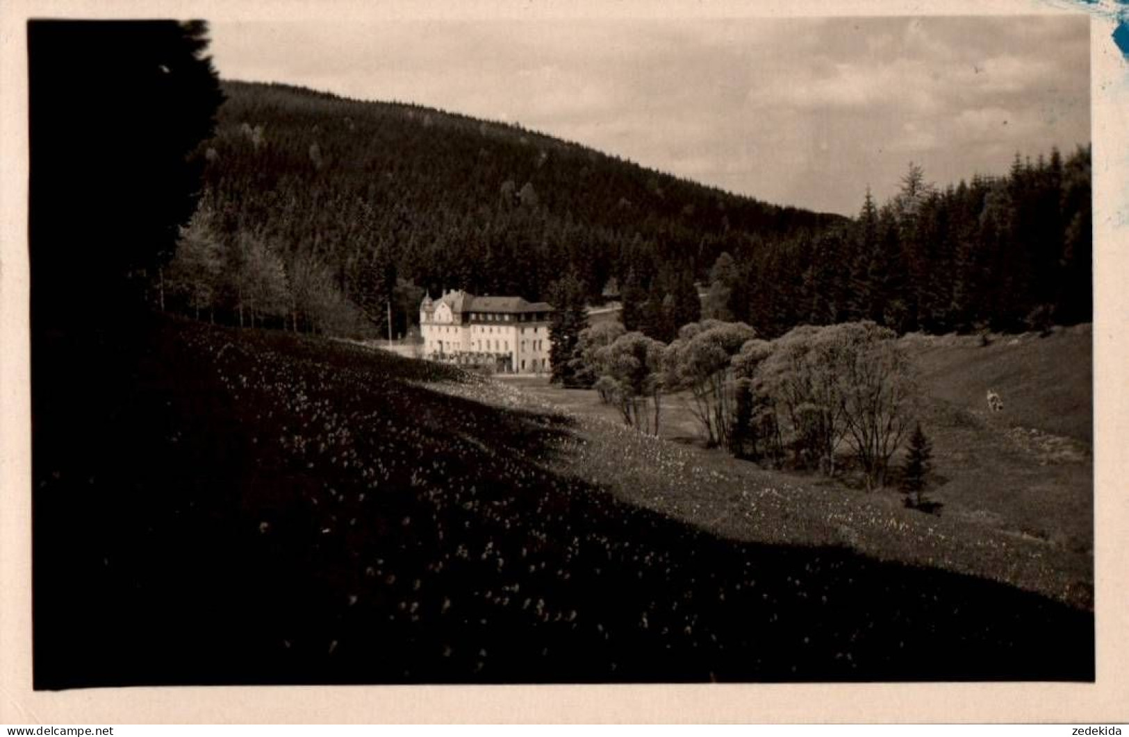 K0864 - Markersbach Wolfner Mühle - Marin Bach Sehma