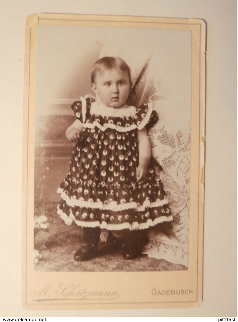 Kabinettfoto - Atelier Schützmann in Gadebusch , Adel , CDV , Photographie , Kabinett !!