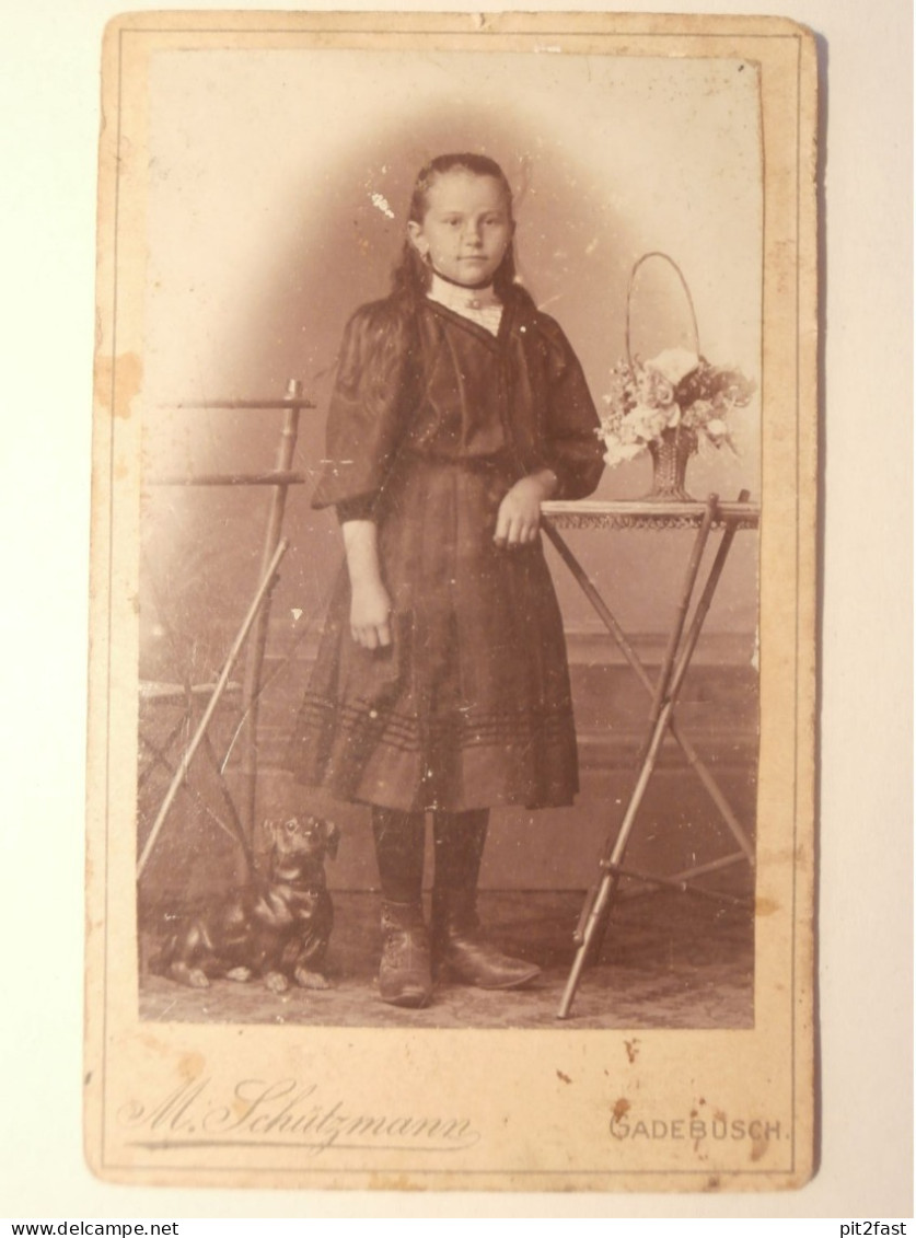 Kabinettfoto - Atelier Schützmann in Gadebusch , Anna Dieckelmann , Adel , CDV , Photographie , Kabinett !!