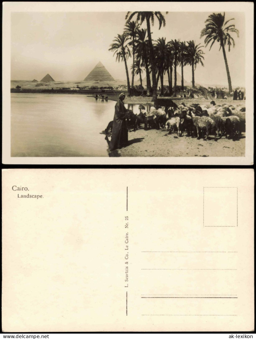 Kairo القاهرة Pyramiden Einheimische Native People Scene 1930