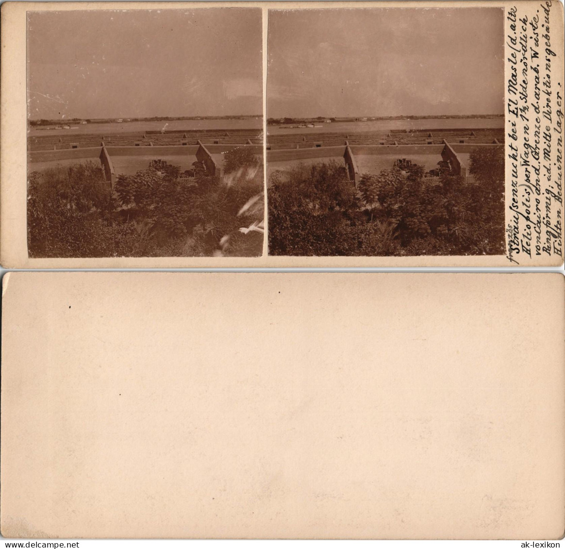 Kairo القاهرة Strausfarm El Masle Heliopolis CDV Kabinettfoto 1909 Privatfoto